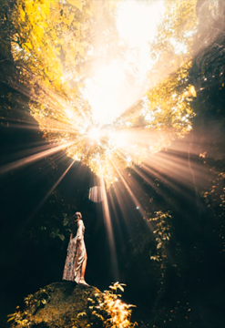 Ilustrasi/Foto: Stijn Dijkstra, pexels.com